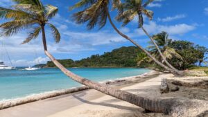 Karibisches Meer, weisser Sandstrand und Palmen